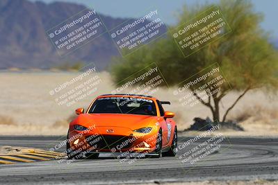 media/Mar-15-2025-Speed Ventures (Sat) [[c9b64f47cf]]/3-Green Group/Session 3 Turn 4 Tree of Life/